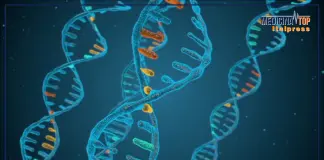 Miozzo “I test genetici sono strumenti fondamentali per contrasto alle malattie rare”