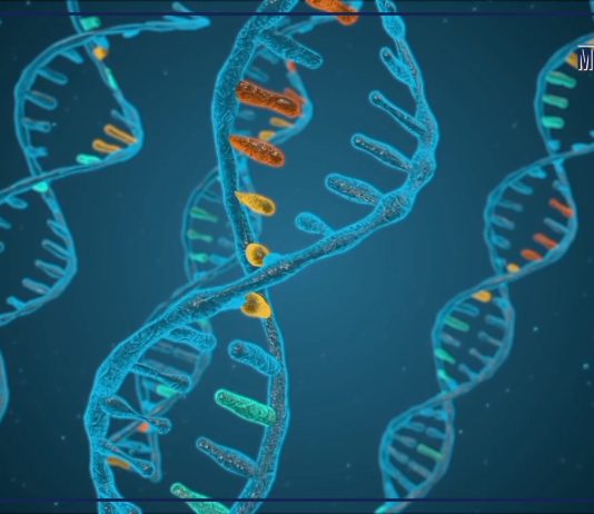Miozzo “I test genetici sono strumenti fondamentali per contrasto alle malattie rare”