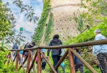 Al via “ViVi il Verde 2026”, dalla Regione 100mila euro per valorizzare parchi e giardini storici di valore culturale