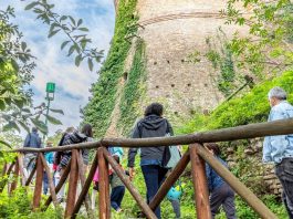 Al via “ViVi il Verde 2026”, dalla Regione 100mila euro per valorizzare parchi e giardini storici di valore culturale