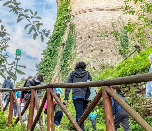 Al via “ViVi il Verde 2026”, dalla Regione 100mila euro per valorizzare parchi e giardini storici di valore culturale
