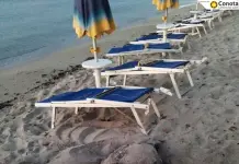 Tartarughe marine, oltre 80 le nidificazioni in Sicilia