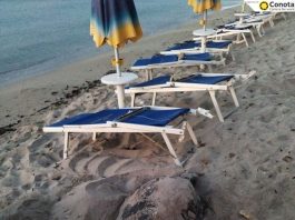 Tartarughe marine, oltre 80 le nidificazioni in Sicilia