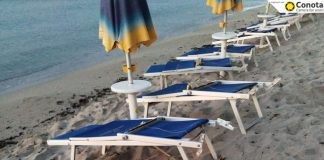 Tartarughe marine, oltre 80 le nidificazioni in Sicilia