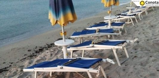 Tartarughe marine, oltre 80 le nidificazioni in Sicilia