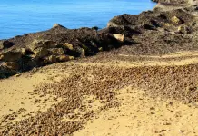 Posidonia, la Regione Sardegna scrive al Ministro dell’Ambiente: “I divieti ci sono, manca chi li fa rispettare”