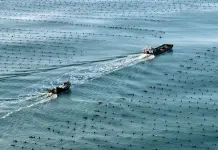 Cina, l’economia marittima segna una crescita costante nel primo semestre