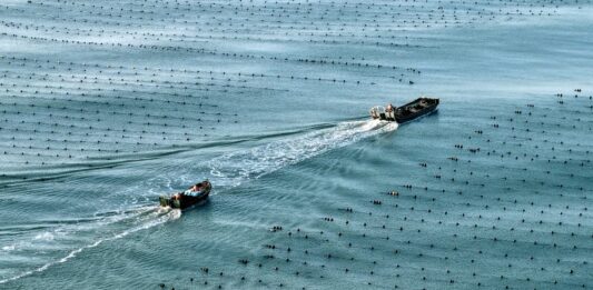 Cina, l’economia marittima segna una crescita costante nel primo semestre