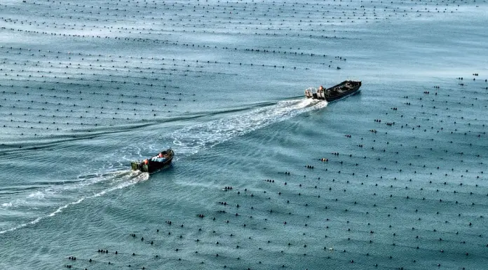 Cina, l’economia marittima segna una crescita costante nel primo semestre