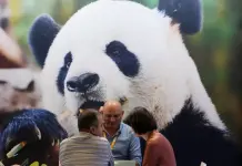 Cina, in aumento dell’11,3% i ricavi dell’industria pubblicitaria