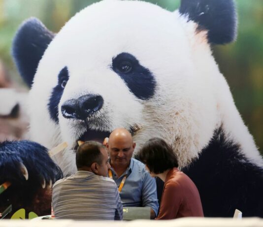 Cina, in aumento dell’11,3% i ricavi dell’industria pubblicitaria