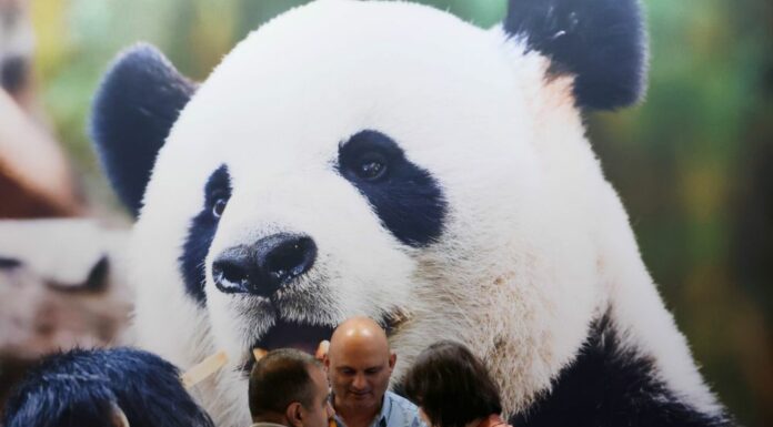 Cina, in aumento dell’11,3% i ricavi dell’industria pubblicitaria