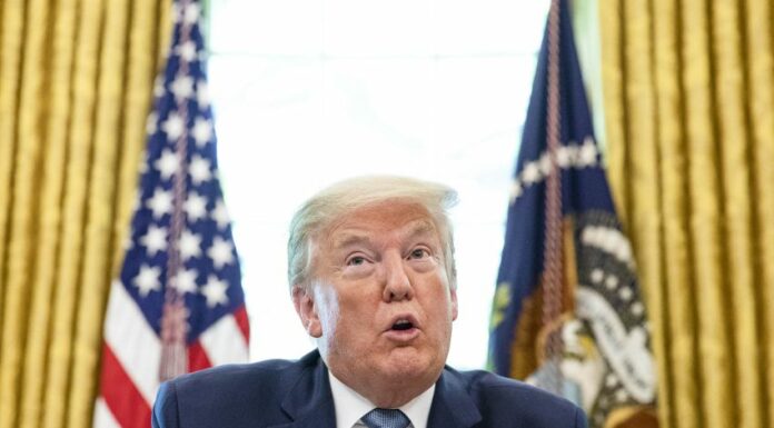 Trump lancia programma di dazi sui droni