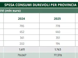 Friuli Venezia Giulia, nel 2025 beni durevoli in calo (-2,6%) a 1,7 mln