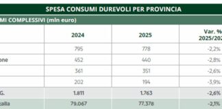 Friuli Venezia Giulia, nel 2025 beni durevoli in calo (-2,6%) a 1,7 mln