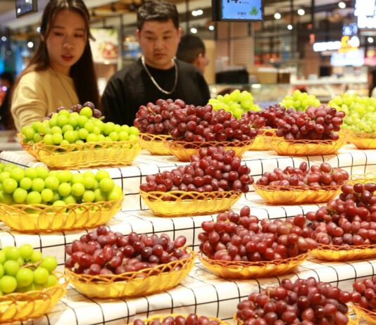 Cina, vendita al dettaglio di beni e servizi a +2,6% nei primi 7 mesi