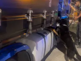 Sequestrati 85 kg di droga al porto di Civitavecchia, arrestato autista bulgaro