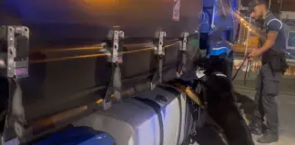 Sequestrati 85 kg di droga al porto di Civitavecchia, arrestato autista bulgaro