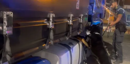 Sequestrati 85 kg di droga al porto di Civitavecchia, arrestato autista bulgaro