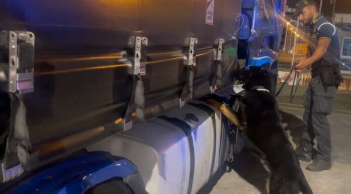 Sequestrati 85 kg di droga al porto di Civitavecchia, arrestato autista bulgaro