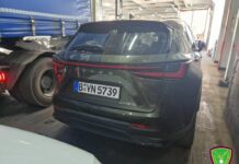 Auto clonate per il mercato nero in Tunisia, sequestri a Palermo