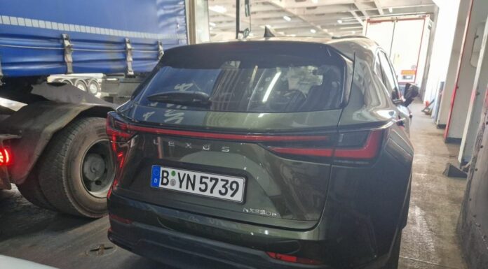 Auto clonate per il mercato nero in Tunisia, sequestri a Palermo