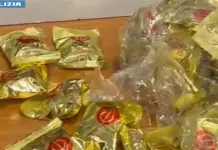 Cinque chili di cocaina nascosta nei biscotti della fortuna, arrestata a Fiumicino