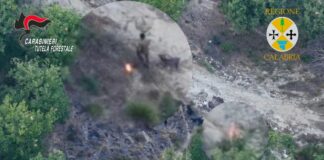 Sorpreso dal drone a incendiare bosco, arrestato allevatore nel vibonese