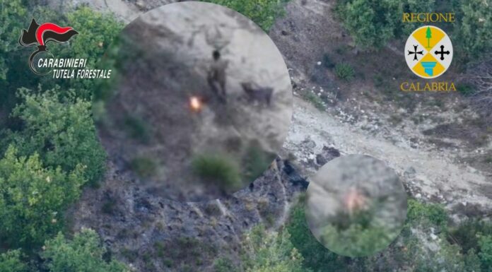 Sorpreso dal drone a incendiare bosco, arrestato allevatore nel vibonese