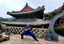 Cina-Italia, Angelo D’Aria “Arti marziali strettamente legate a cultura nazionale”