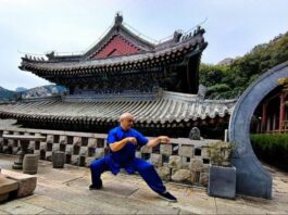 Cina-Italia, Angelo D’Aria “Arti marziali strettamente legate a cultura nazionale”