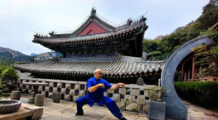 Cina-Italia, Angelo D’Aria “Arti marziali strettamente legate a cultura nazionale”