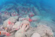 Scoperto relitto romano al largo di Mazara del Vallo, Giuli: “Una delle più importanti scoperte archeologiche subacquee degli ultimi anni”
