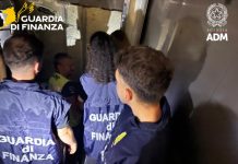 Livorno, sequestrati 65kg di cocaina in un container proveniente dal Sudamerica