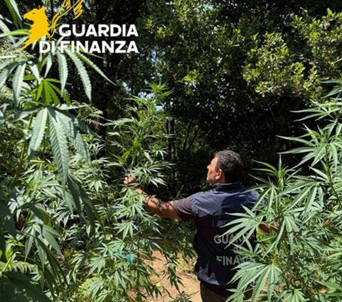 Calabria-gdf
