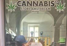 Infiorescenze vietate in un Cannabis Store a Milano, licenza sospesa
