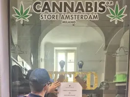 Infiorescenze vietate in un Cannabis Store a Milano, licenza sospesa