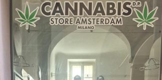 Infiorescenze vietate in un Cannabis Store a Milano, licenza sospesa