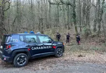 Smantellato un bivacco per lo spaccio di droga nei boschi del Senese