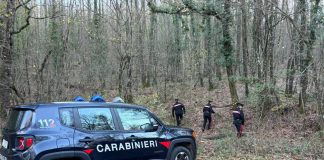 Smantellato un bivacco per lo spaccio di droga nei boschi del Senese