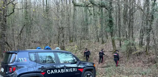 Smantellato un bivacco per lo spaccio di droga nei boschi del Senese