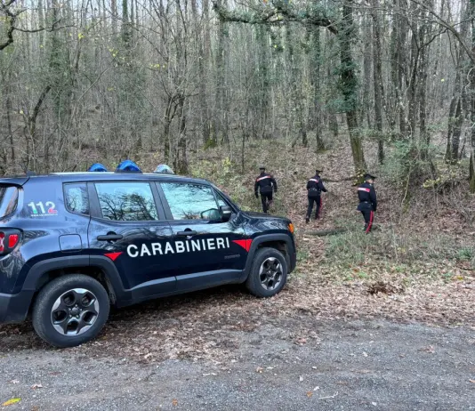 Smantellato un bivacco per lo spaccio di droga nei boschi del Senese