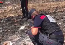 Appicca il fuoco nei pressi di un bosco a Morano Calabro, arrestato un 56enne