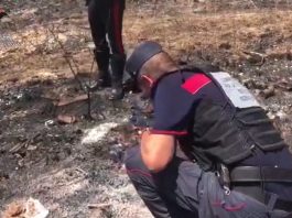 Appicca il fuoco nei pressi di un bosco a Morano Calabro, arrestato un 56enne