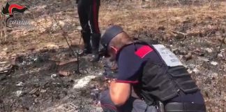 Appicca il fuoco nei pressi di un bosco a Morano Calabro, arrestato un 56enne