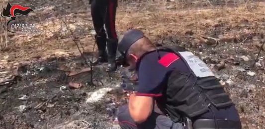 Appicca il fuoco nei pressi di un bosco a Morano Calabro, arrestato un 56enne