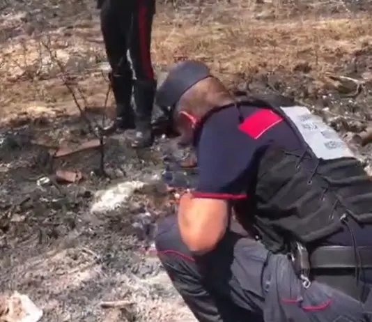 Appicca il fuoco nei pressi di un bosco a Morano Calabro, arrestato un 56enne