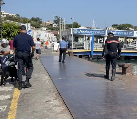 Documenti falsi e truffa, volto “noto” della tv arrestato a Ischia