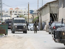 Evacuati cinque attivisti italiani in Cisgiordania. Media palestinesi “Espulsi con la forza dall’esercito israeliano”