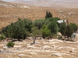 I leader di Italia, Francia, Germania e Regno Unito a Israele: “Inaccettabili i bandi per il progetto di insediamento E1 in Cisgiordania”